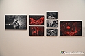 VBS_0580 - World Press Photo Exhibition 2022